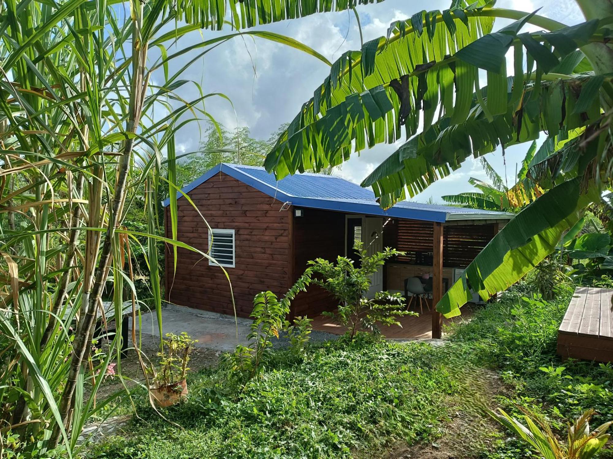 Le Paradis Des Colibris Villa Anse-Bertrand Exterior foto